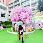 IP經濟成效強差人意惹質疑 學者：需加強IP與商戶合作聯動