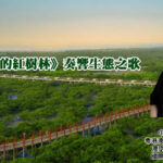 《家鄉的紅樹林》奏響生態之歌