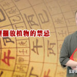 家裡擺放植物的禁忌