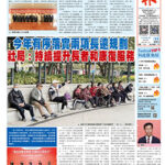 2026年3月11日版面