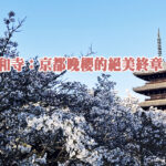 仁和寺：京都晚櫻的絕美終章