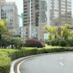 市政署周五起優化亞馬喇前地及蓮花路綠化景觀