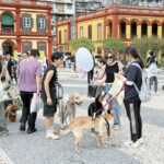 動物保護同樂日宣傳以領養代購買 市署：持續檢視政策優化寵物服務